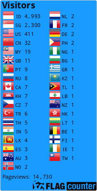 Flag Counter