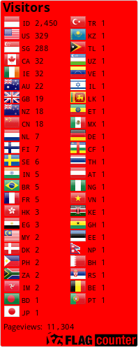 Flag Counter