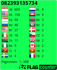 Flag Counter