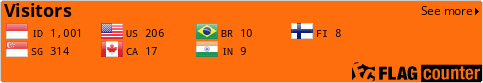 Flag Counter