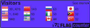 Flag Counter