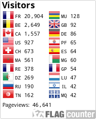 Flag Counter