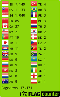 Flag Counter