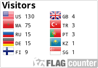 Flag Counter