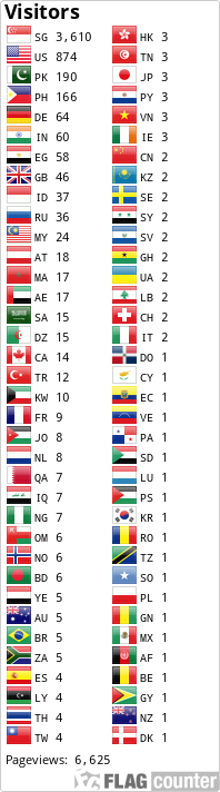 Flag Counter