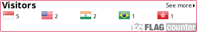 Flag Counter