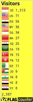 Flag Counter