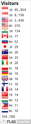 Flag Counter