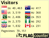 Flag Counter