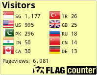 Flag Counter