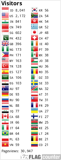 Flag Counter