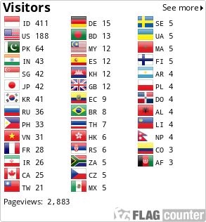 Flag Counter