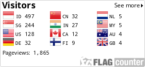 Flag Counter