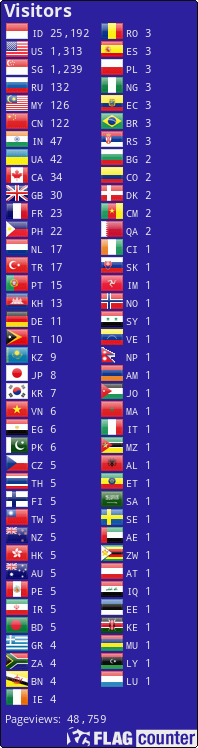 Flag Counter