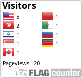 Flag Counter