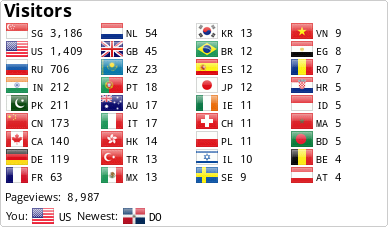 Flag Counter