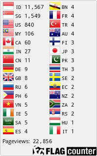 Flag Counter
