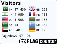 Flag Counter