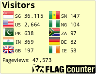 Flag Counter