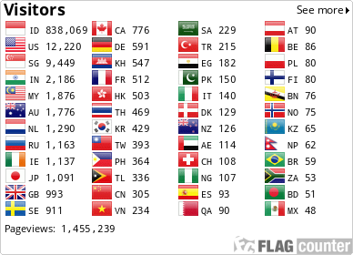 Flag Counter