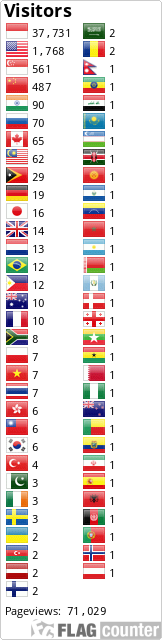 Flag Counter