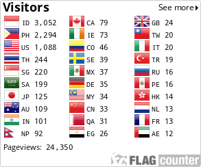 Flag Counter