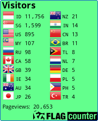 Flag Counter