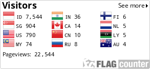 Flag Counter