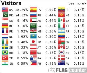 Flag Counter