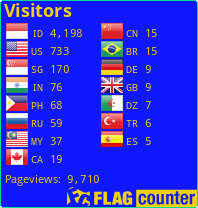 Flag Counter