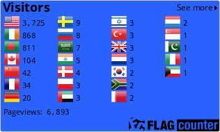 Flag Counter
