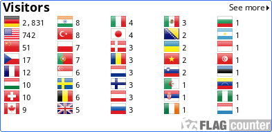 Flag Counter