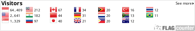 Flag Counter