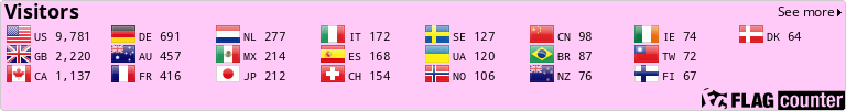 Flag Counter