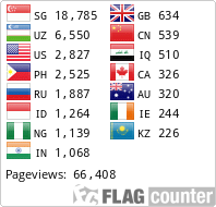 Flag Counter