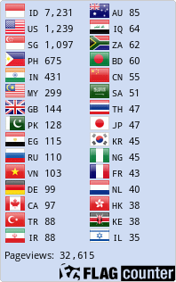 Flag Counter