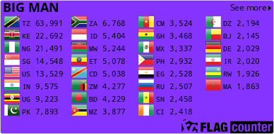 Flag Counter