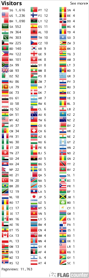 Flag Counter