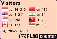 Flag Counter