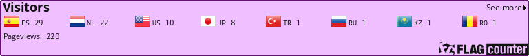 Flag Counter