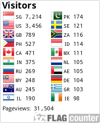 Flag Counter