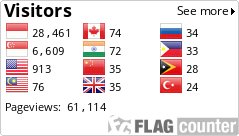 Flag Counter