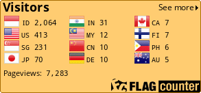Flag Counter