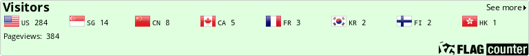 Flag Counter