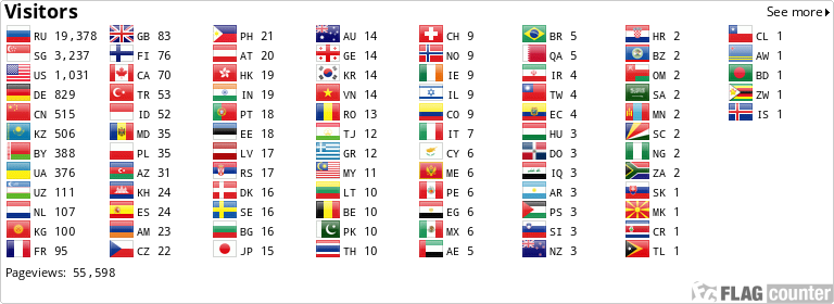 Flag Counter