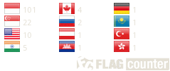 Flag Counter