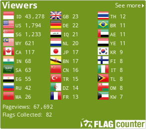 Flag Counter