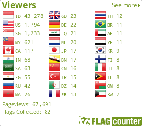 Flag Counter