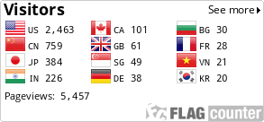 Flag Counter