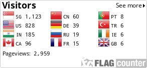 Flag Counter